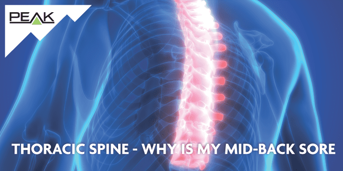 Why is my mid-back sore?! - Thoracic Spine – Peak Sport And Spine Centre